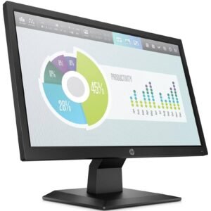 HP MONITOR P204V